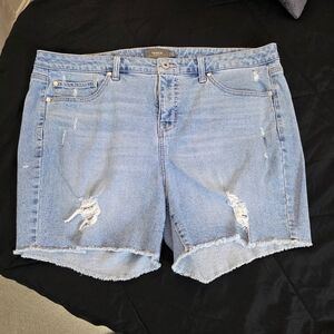 Torrid Medium Blue Ripped Jean Shorts
